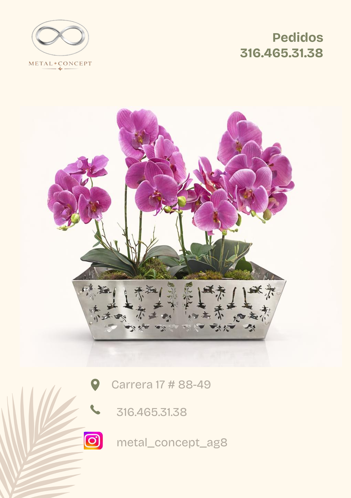 Portafolio Image 6